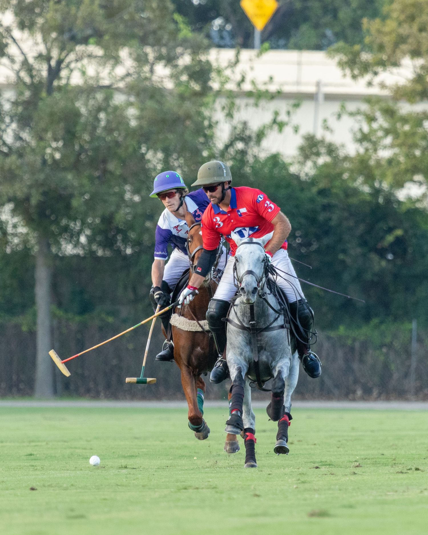 Polo