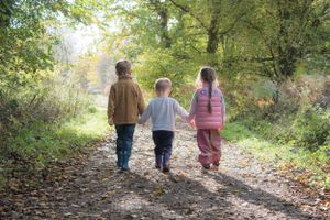 Three children walking into the distance, holding hands, in the forest, sun shining through the trees.