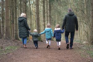 A family are in a line all holding hands and walking away from the camera through the woods.