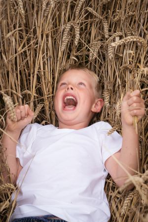 A little boy laying down in a wheat field, belly laughing!
