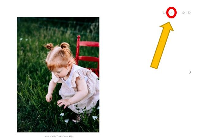 Professional portrait of a young toddler girl picking flowers in a lush green meadow with a red chair.