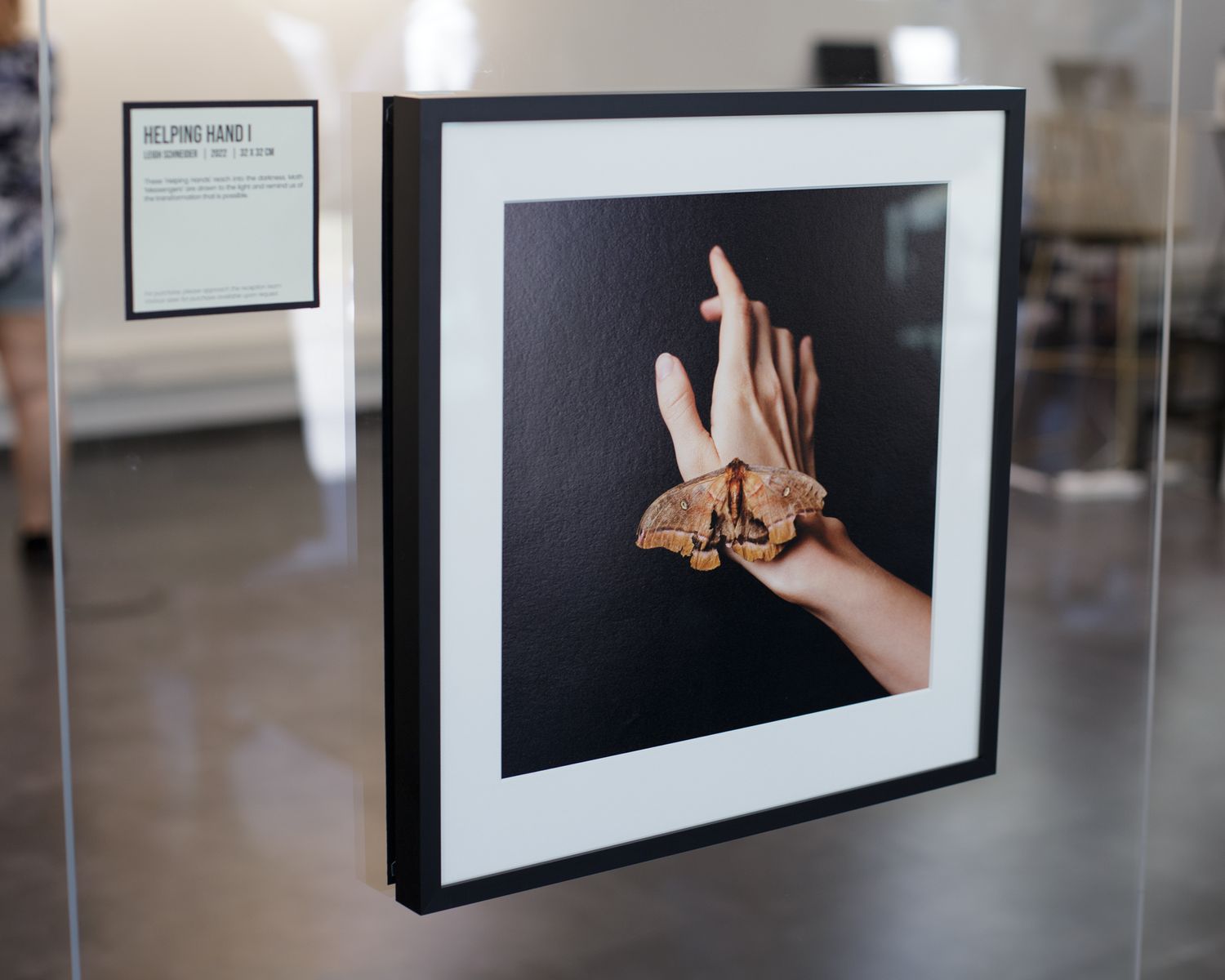 leigh schneider exhibition