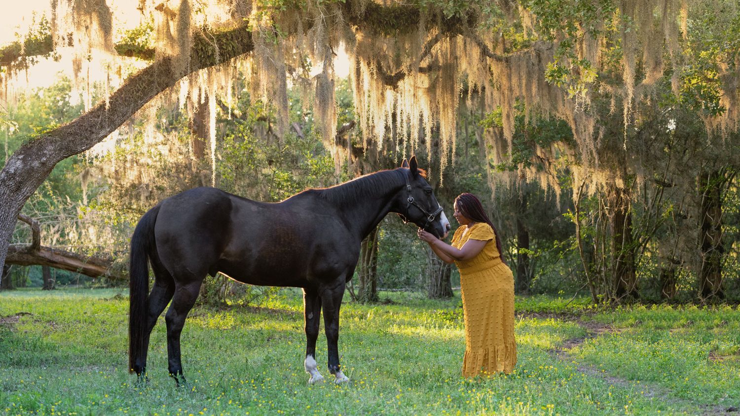 A black horse and someone in a yellow dress standing in a mossy Southern landscape.