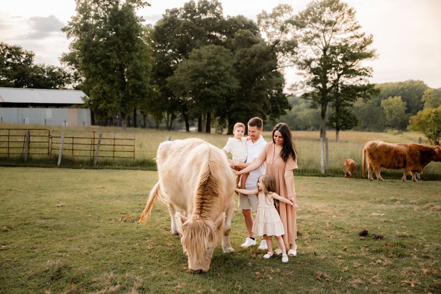 Family of three petting a fluffy Highland cow on a lush green farm with trees and a barn in the background.