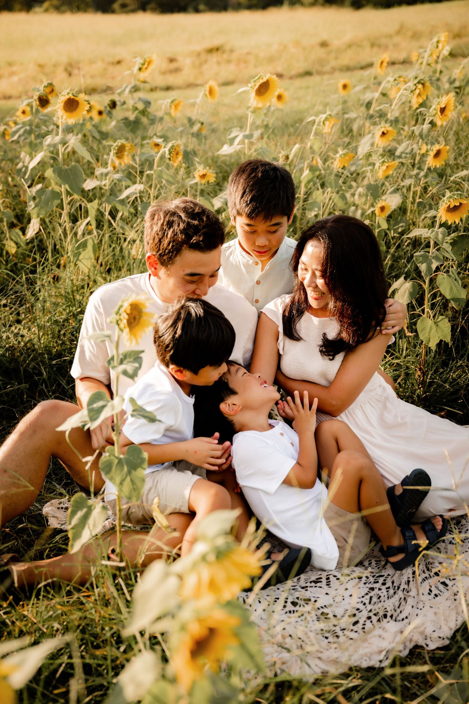 Family of four sitting in a sunflower field, laughing and embracing during a golden hour outdoor photo session.