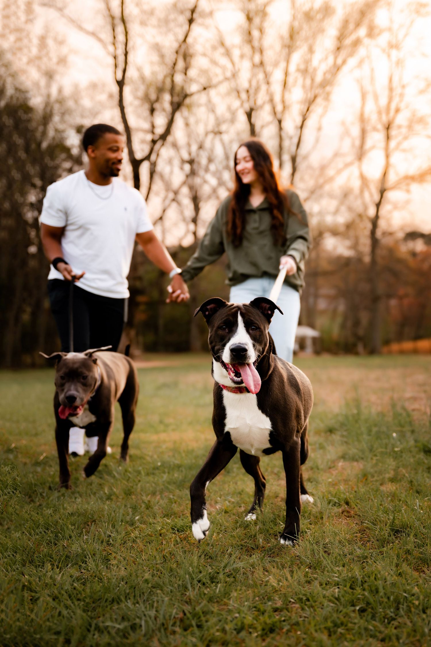 A sequence of photos showing a playful pit bull running and playing in a grassy field with its owner on an autumn day.