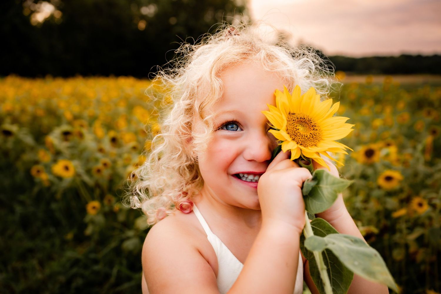 Joyful child playing with sunflower during golden hour family photo session.