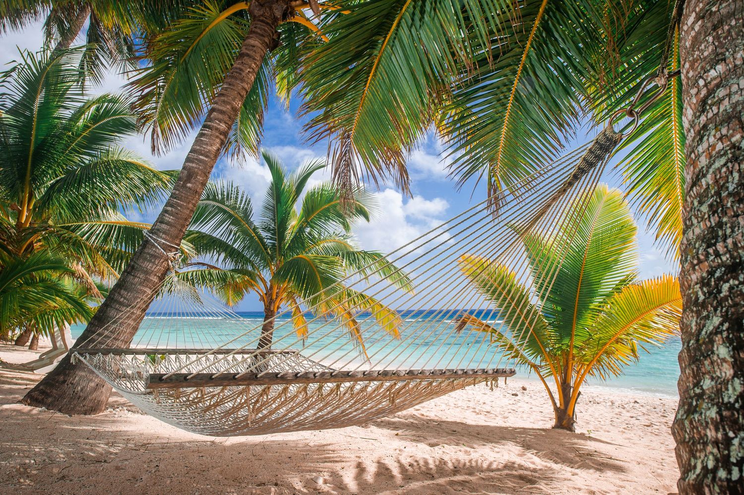 Hammock hanging between palm trees on pristine white sand beach.