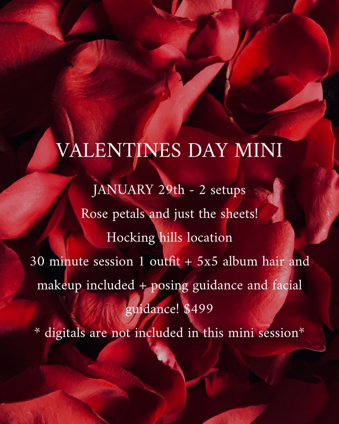 Valentine's Day mini session advertisement with red rose petals against a dark background.