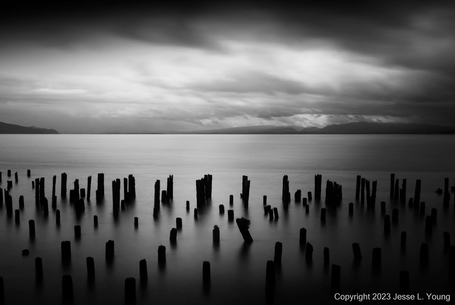 Astoria Pilings