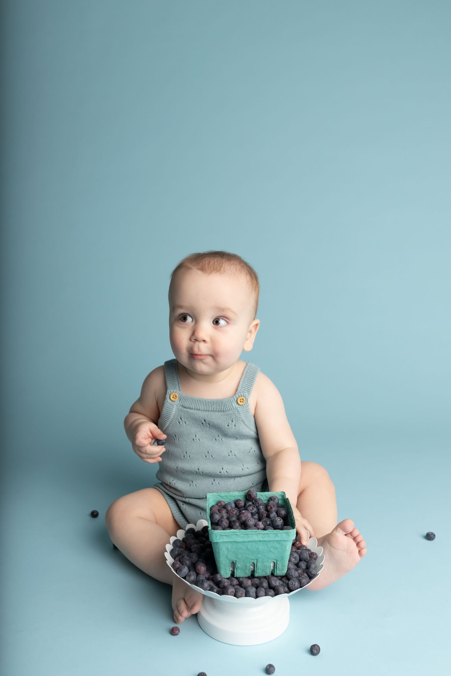 Blueberry smash, taken by Jen Knightstep, Photographer