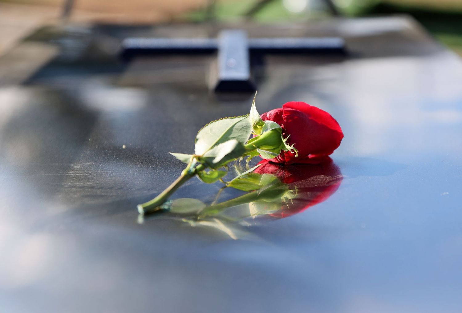 Casket rose