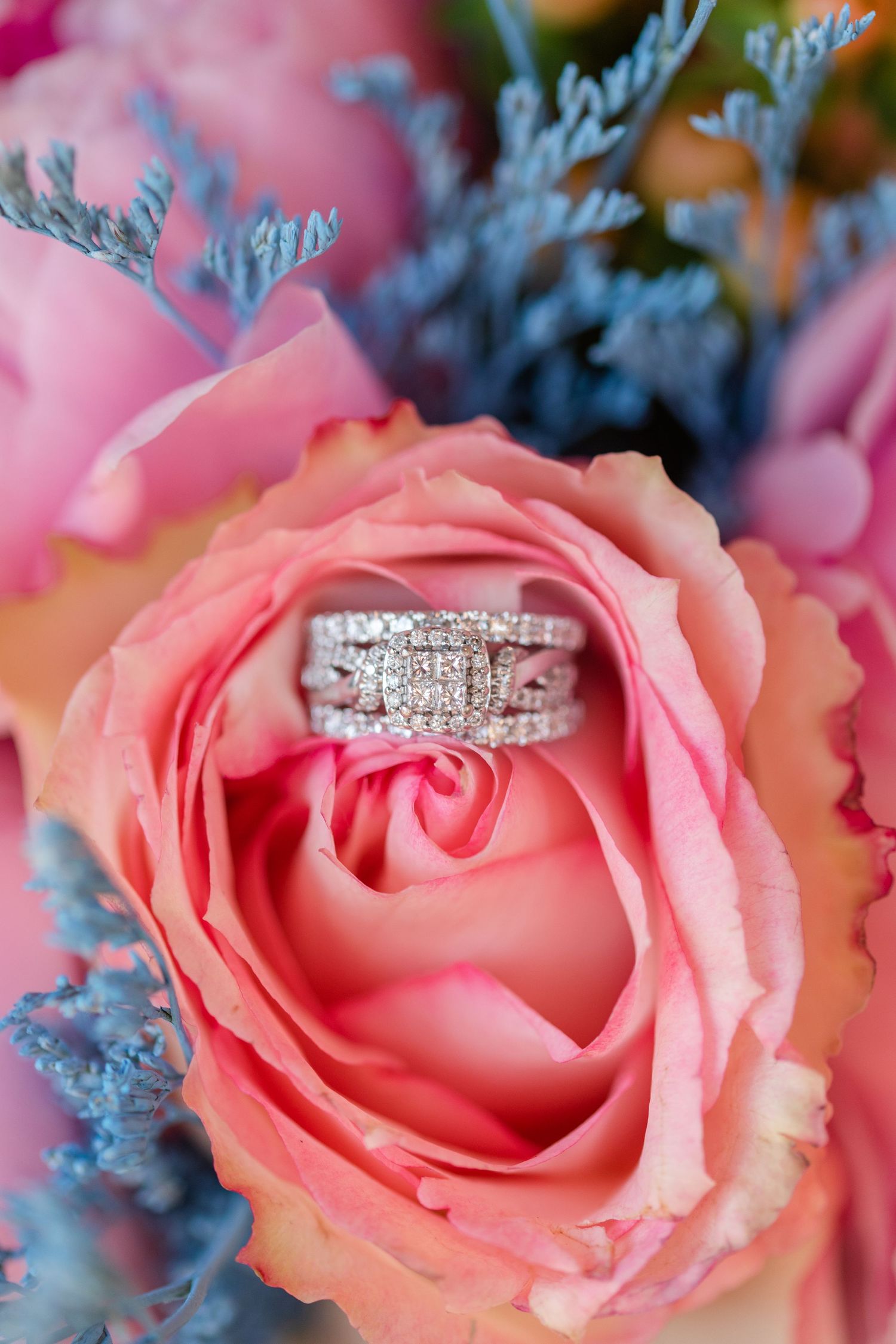 Diamond wedding rings nestled in the center of a pink rose with blue accents in the background.