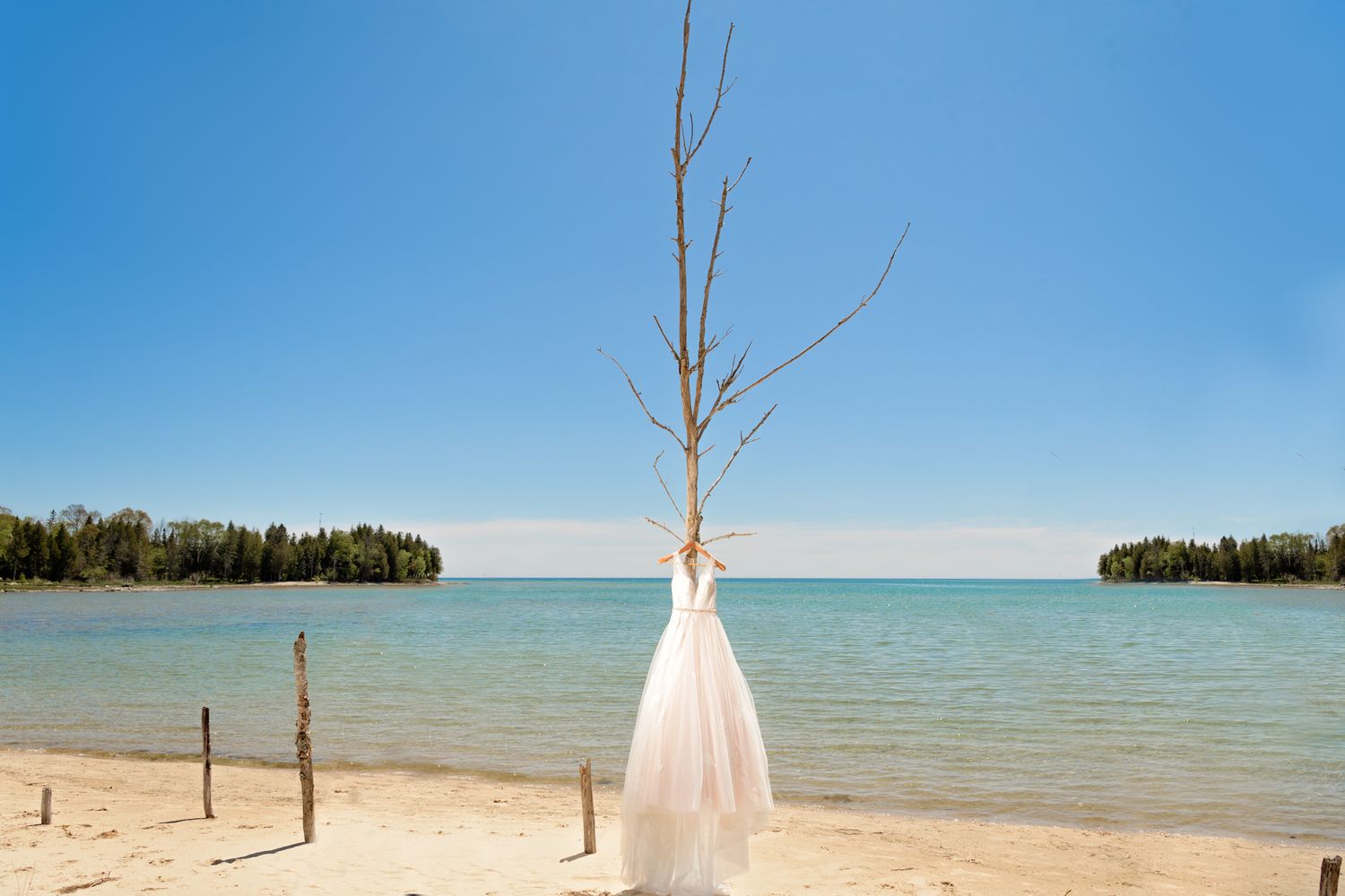 Wedding dress hangs on bare tree branch against serene lake and blue sky backdrop.
