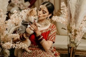 Traditional Indian bride in red lehenga holding a grey cat among pampas grass decorations.