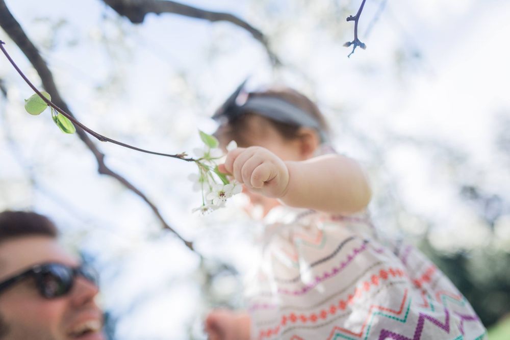memorial park family photos, nikki mcleay photography, lydia mcleay, aj mcleay photo, adorably chubby fingers