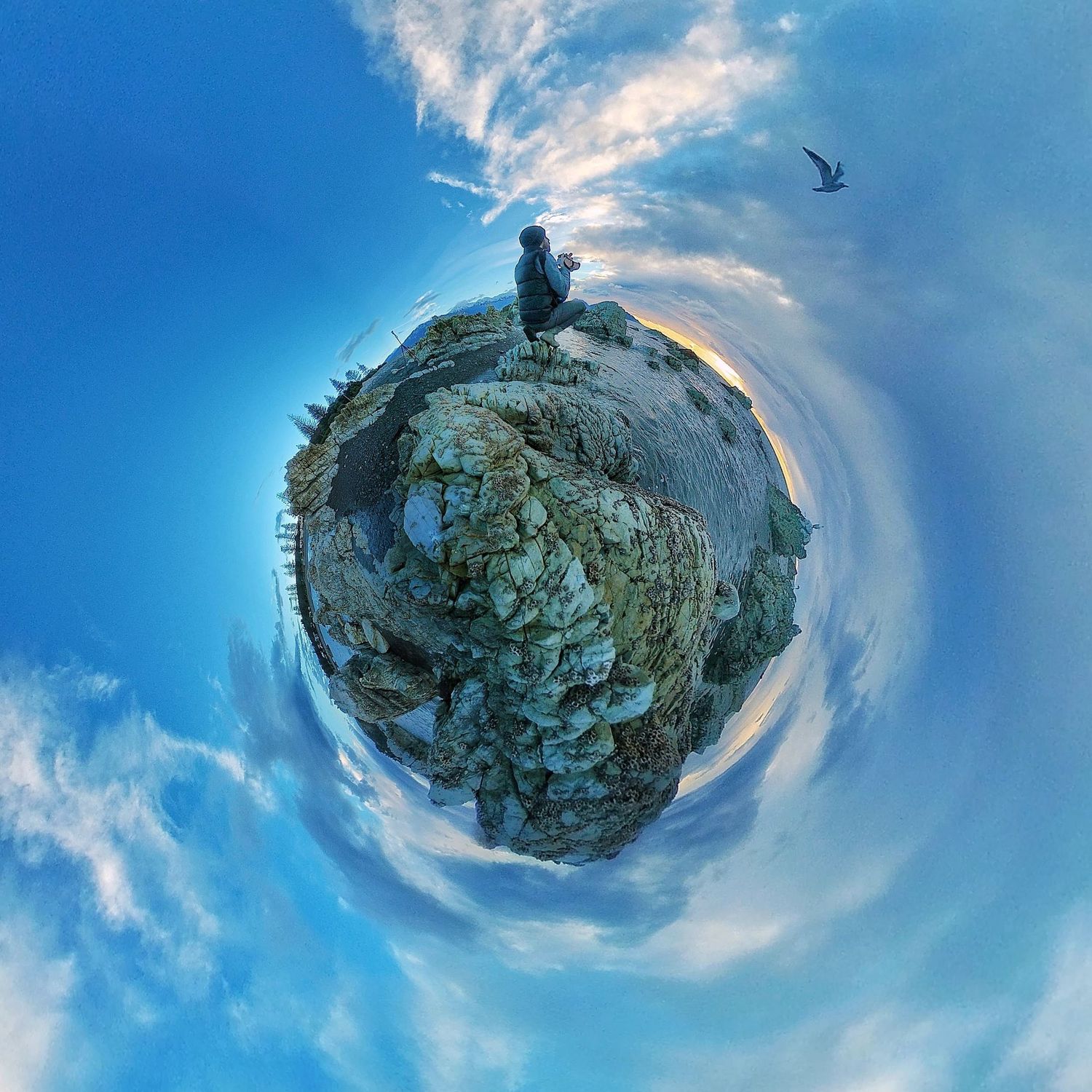 360 Tiny Planet photo of William at the beach in Kaikoura. The sun is rising and there's a seagull in the sky.