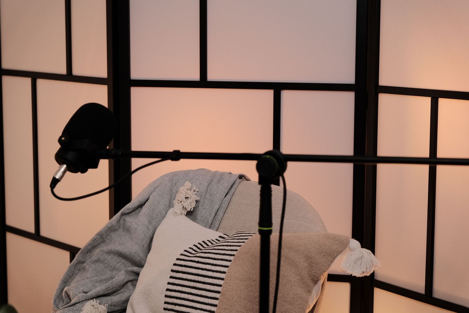 Professional microphone setup against a room divider with soft lighting and gray cushions.