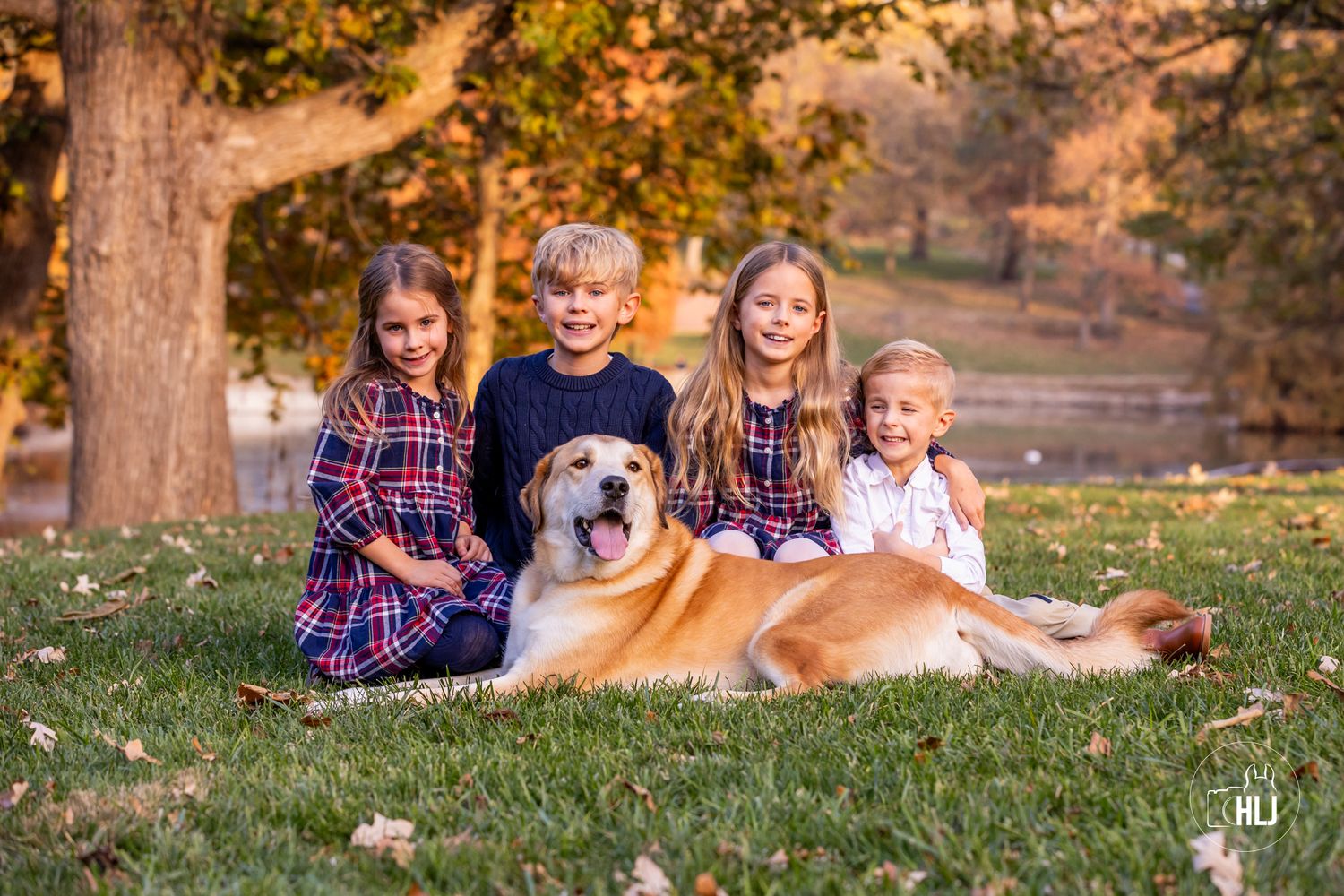 Family portrait with golden retriever dog sitting on autumn grass.