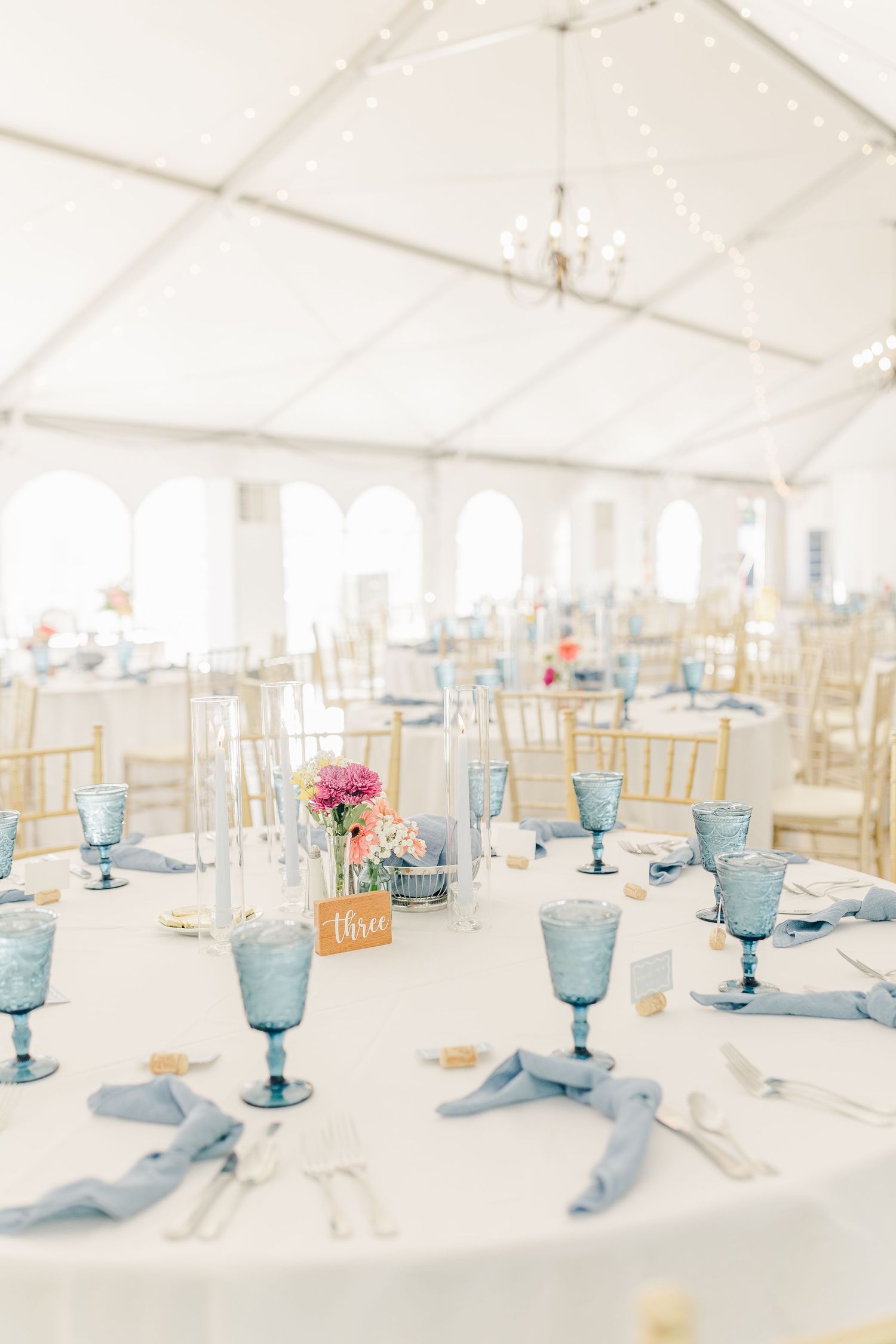 RUST MANOR HOUSE LEESBURG VIRGINIA WEDDING PICTURES RECEPTION