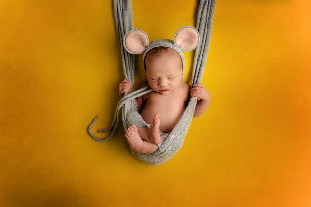 Sleeping newborn with mouse ears curled up in gray fabric hammock on yellow backdrop.