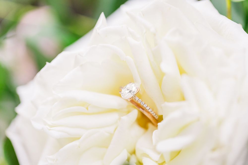 bride rings in white flower