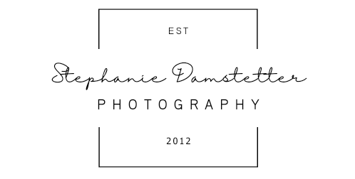 Minimalist black and white photography logo design with elegant script font.