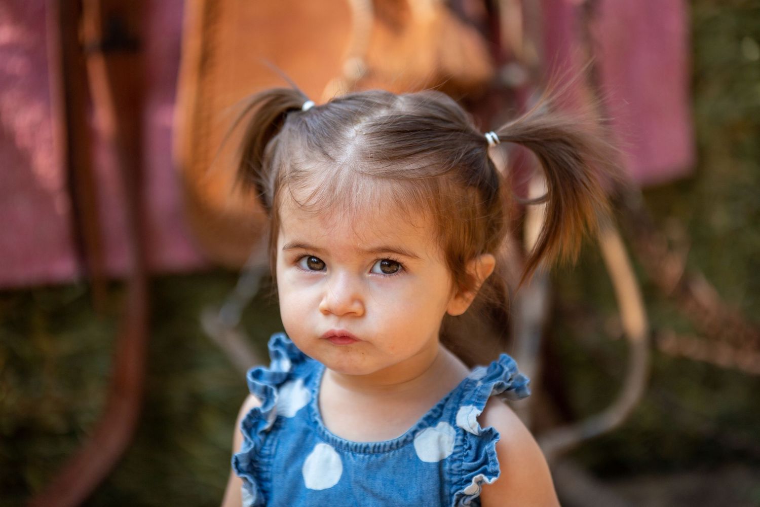 gunnii sack photography, best of calaveras, calaveras county photographer, calaveras county videographer
