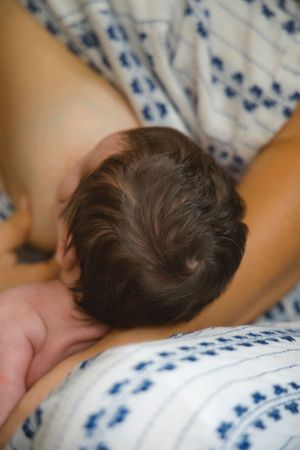 Detailed shot of a newborn baby's head of hair.