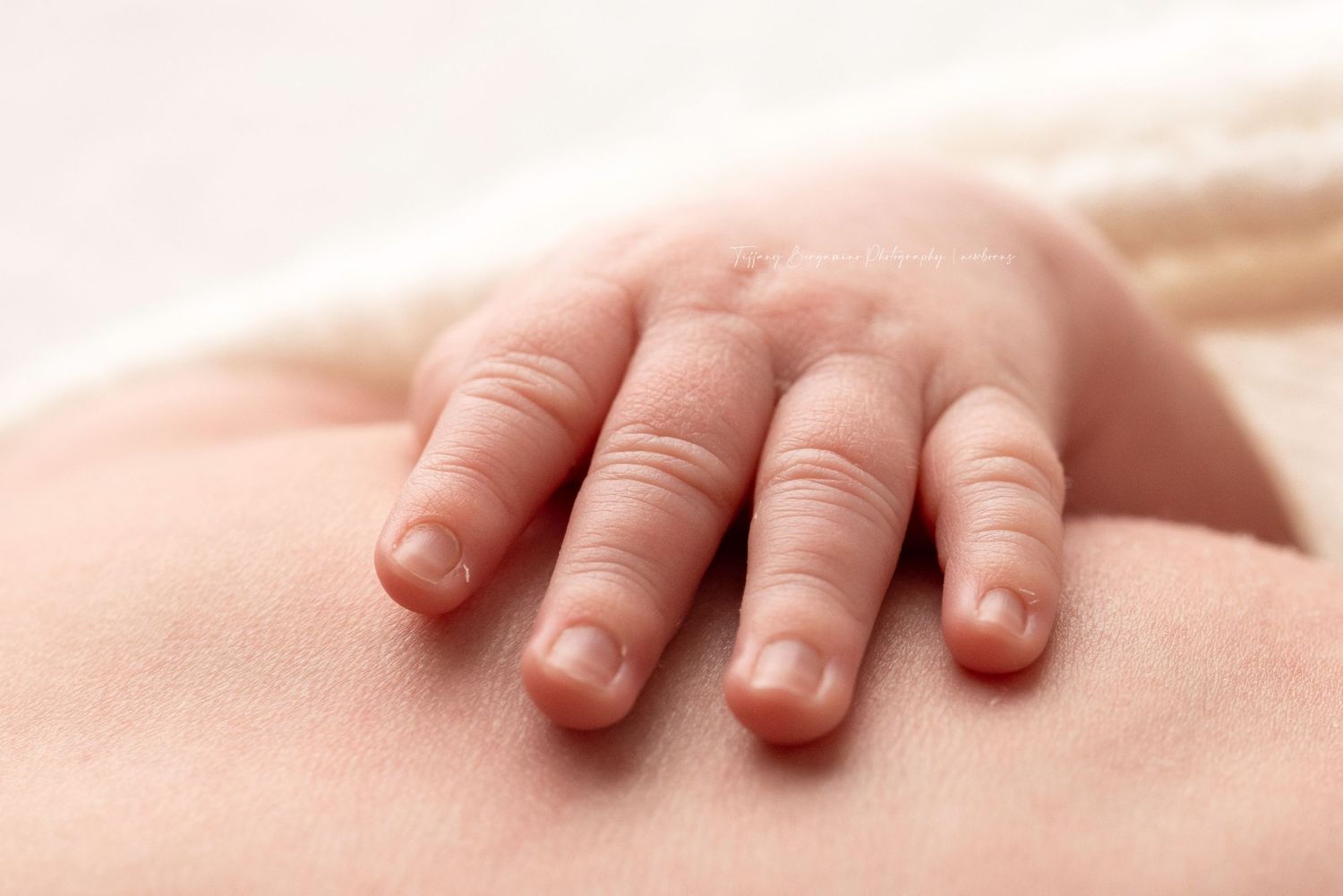 Details Newborn Baby Marion Indiana