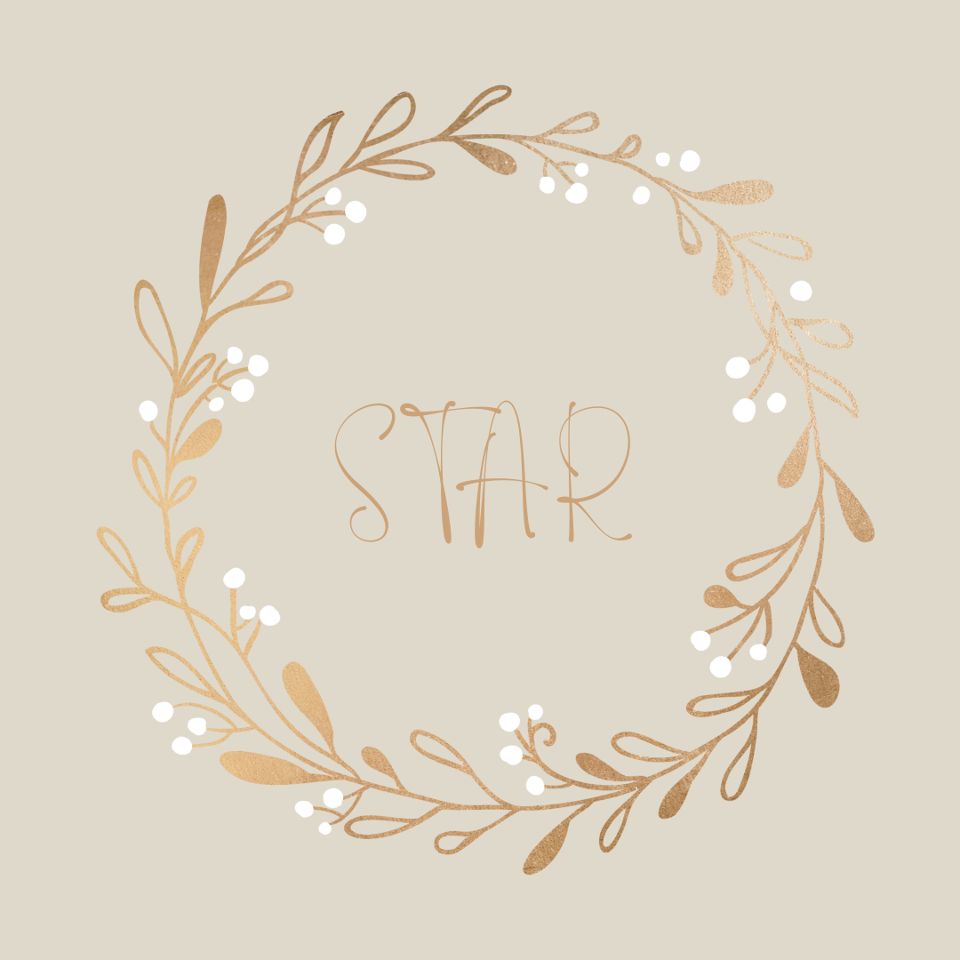 Star Christmas mini sessions Photoshoot