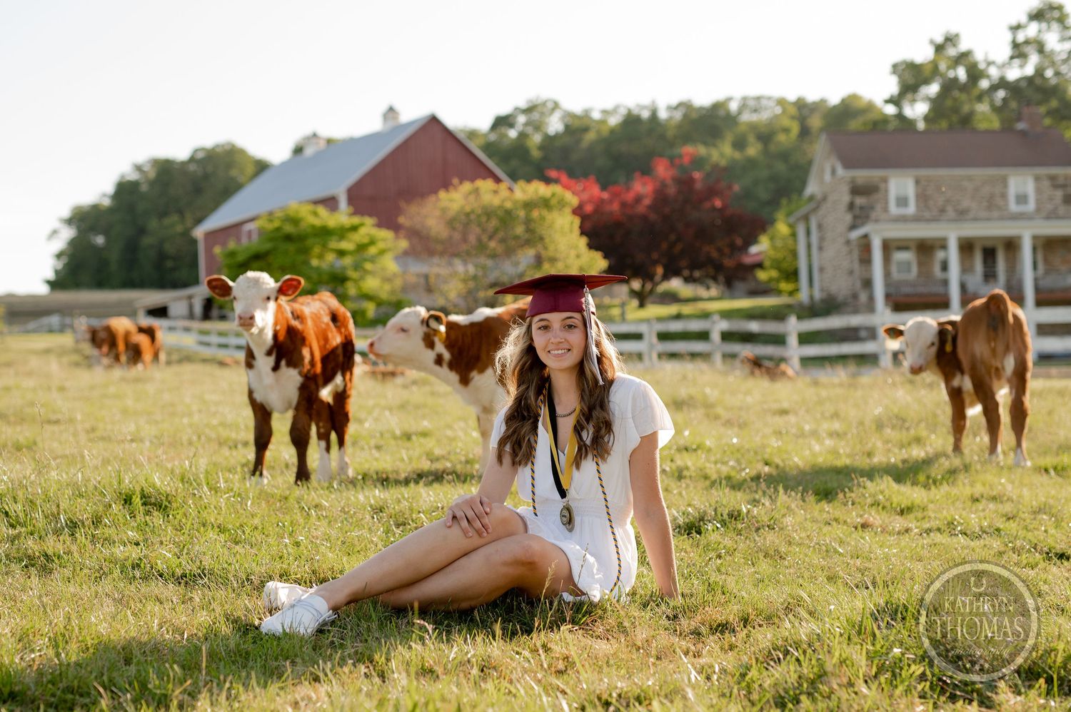 Graduate poses in white dress on farm with red barn and grazing cattle in background.