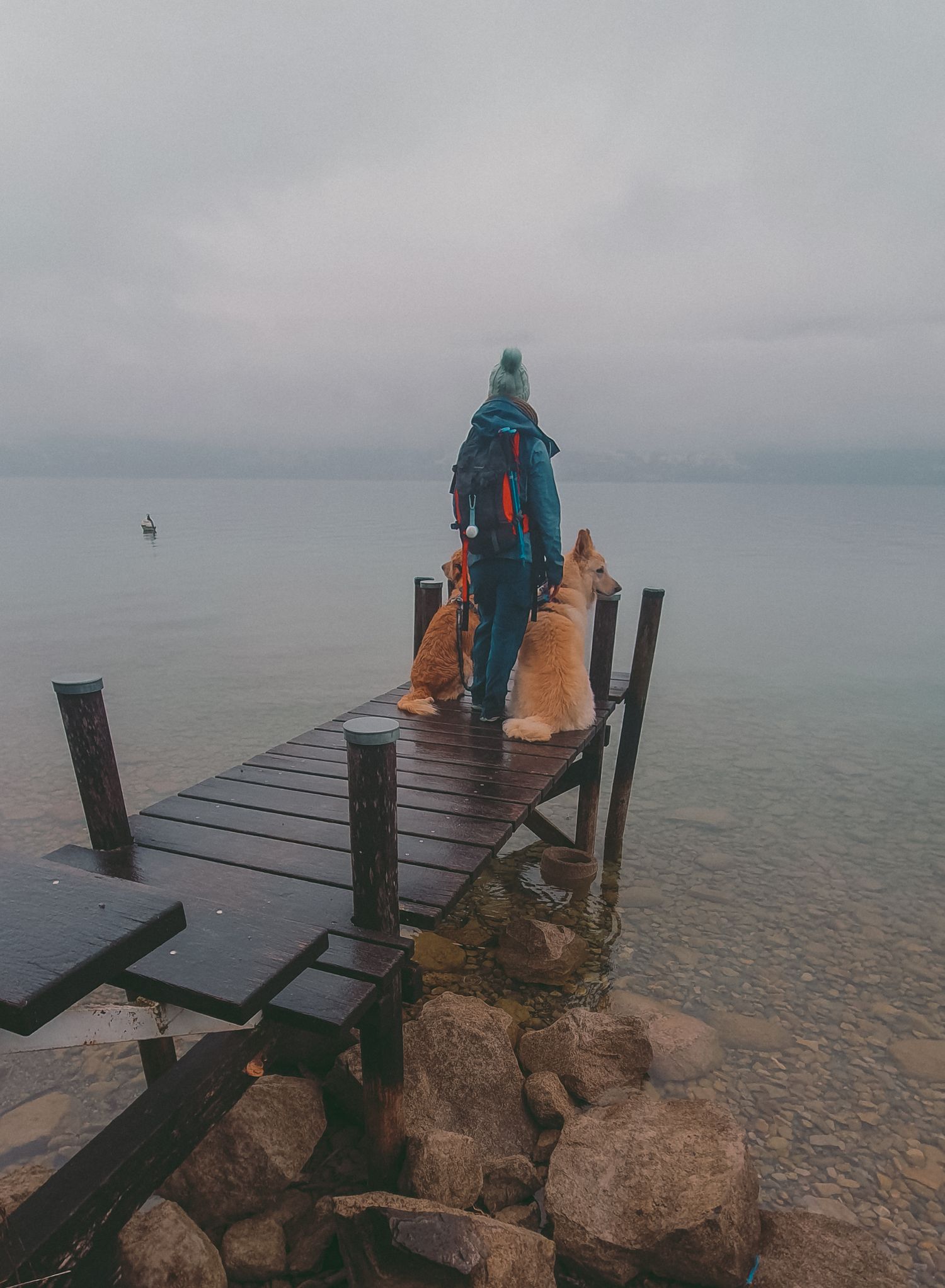 Lac de Thoune
