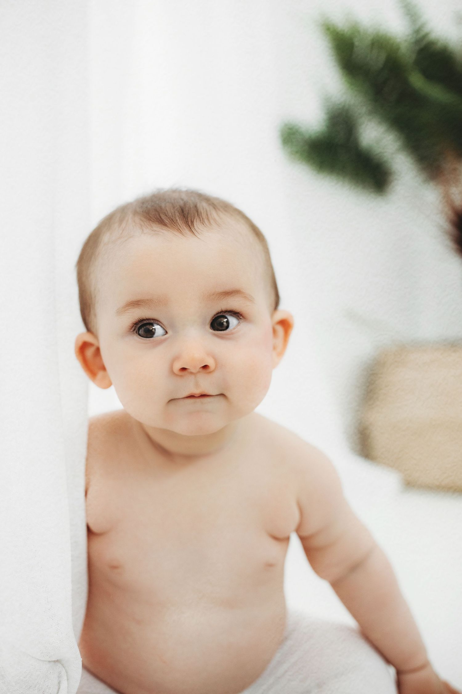 Shirtless baby wearing white pants sits in front of blurred greenery in a bright minimal setting.