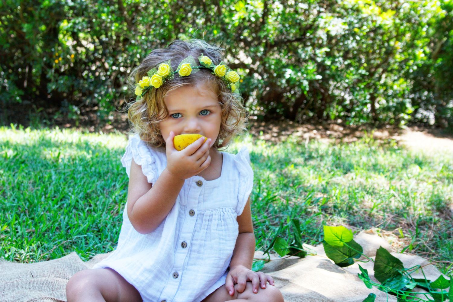 Limonada