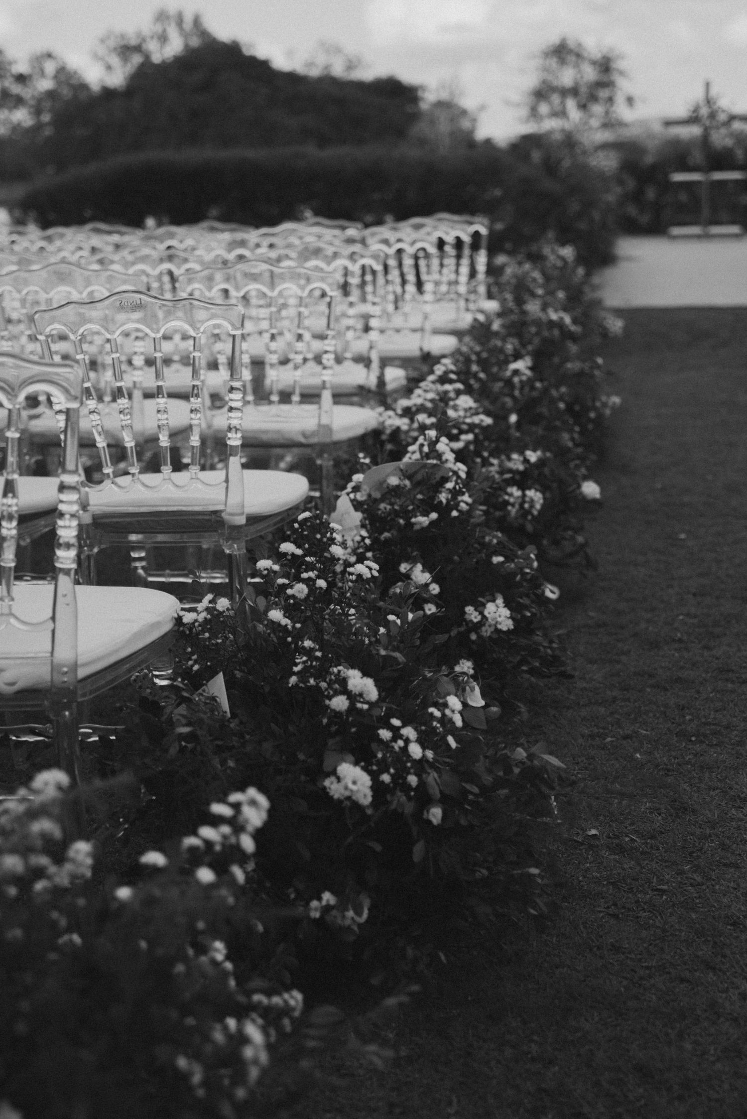 Black and white photo of elegant outdoor wedding chairs lined up with floral decorations.
