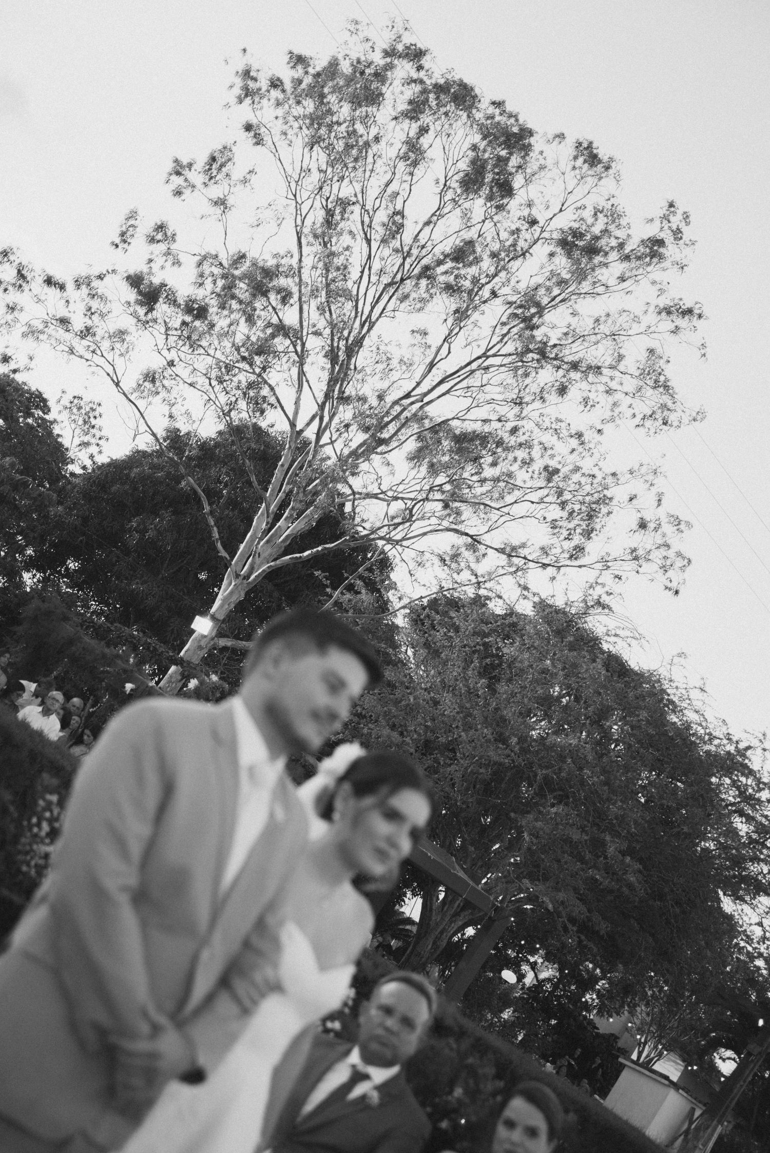 Black and white wedding photo with a tall tree silhouetted against the sky.