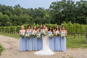 Bridal party in light blue dresses posing together at a vineyard.