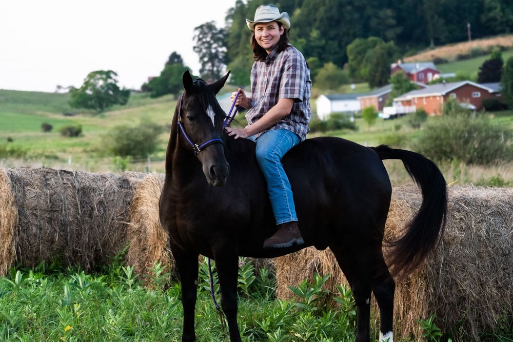 Black horse with rider in casual attire near hay bales in countryside.