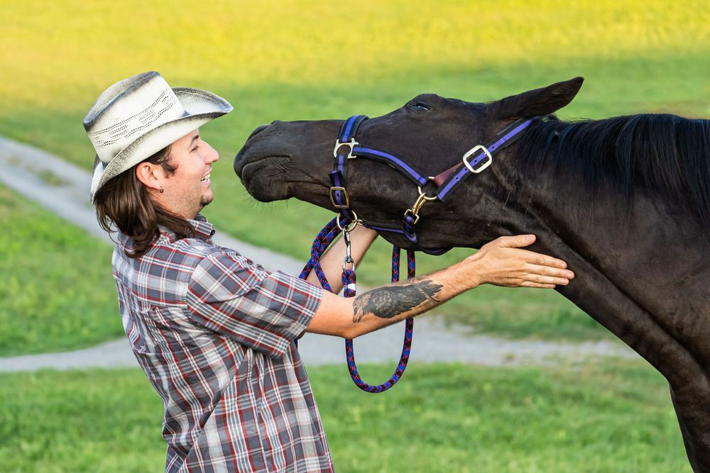 Playful interaction between black horse and person in plaid shirt and cowboy hat.