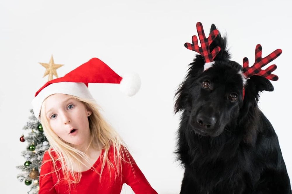 A festive holiday portrait with a black dog wearing antlers next to someone in Santa attire.