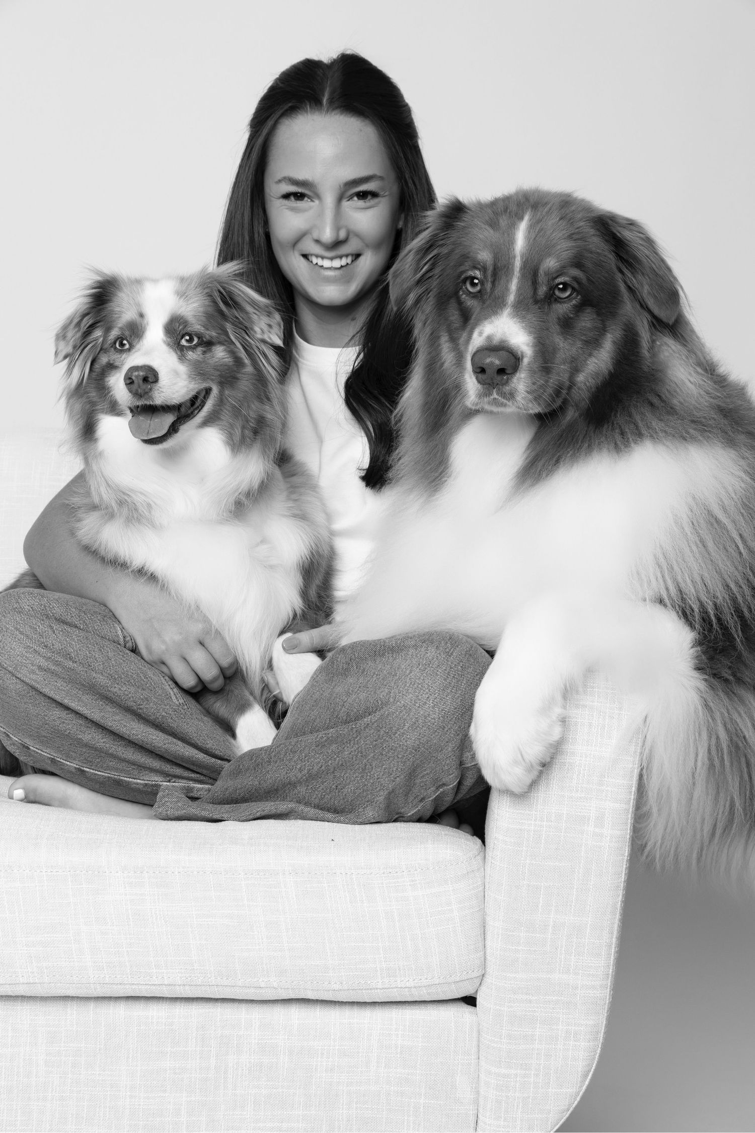 A black and white portrait showing two Australian Shepherds sitting with someone on a light-colored couch.