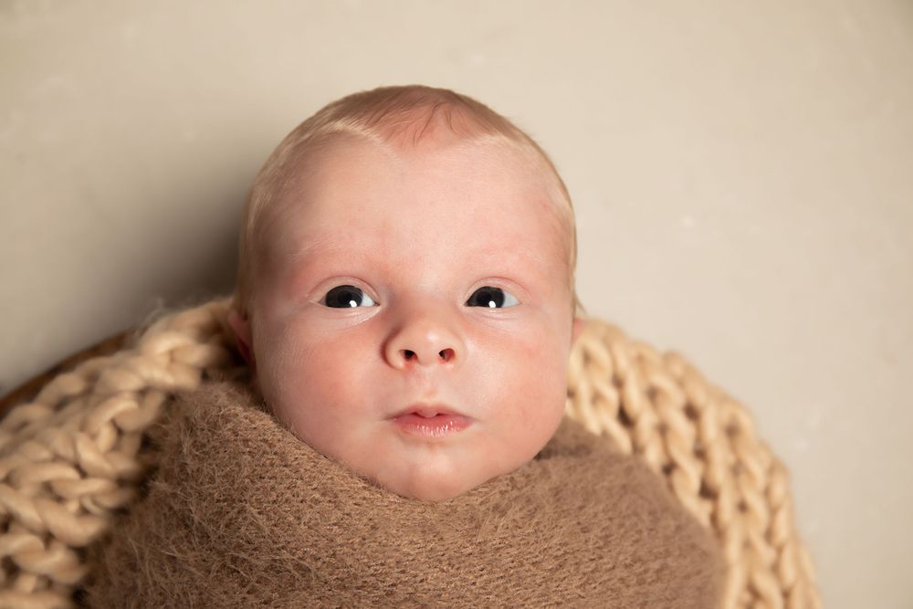 Close-up portrait of alert newborn wrapped in brown fabric against neutral background.