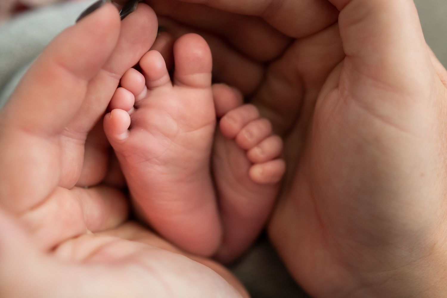 Close-up of tiny newborn baby feet held gently in adult hands.
