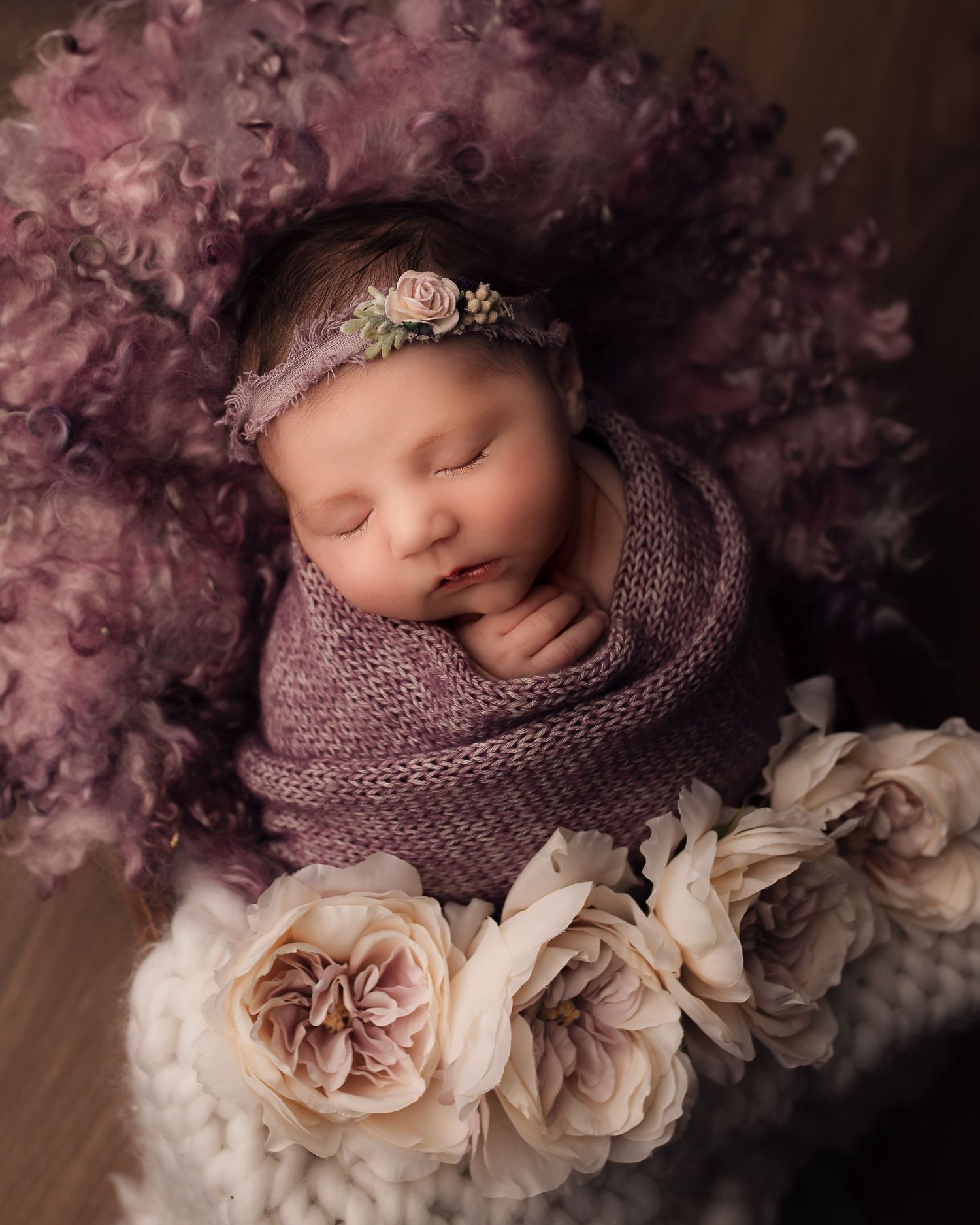Palmerston North Newborn Baby Family Photographer. Purple Floral