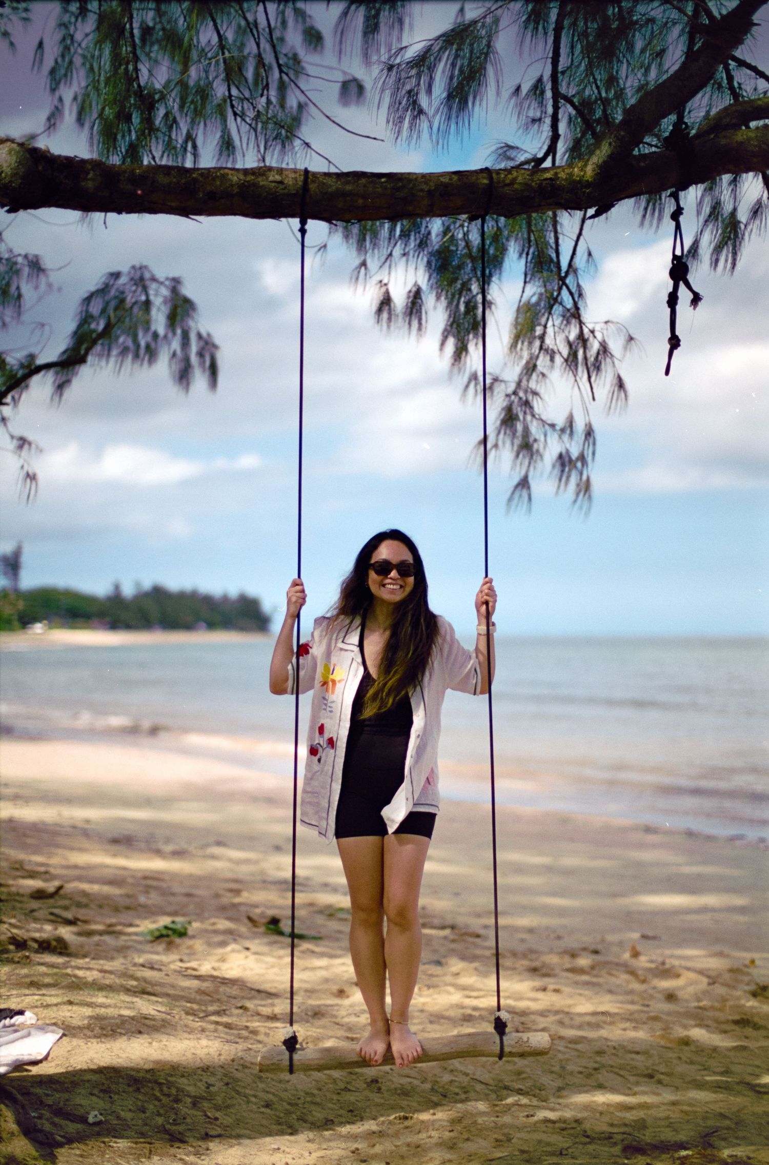 Beach swing hanging from tree branch overlooking tropical shoreline.