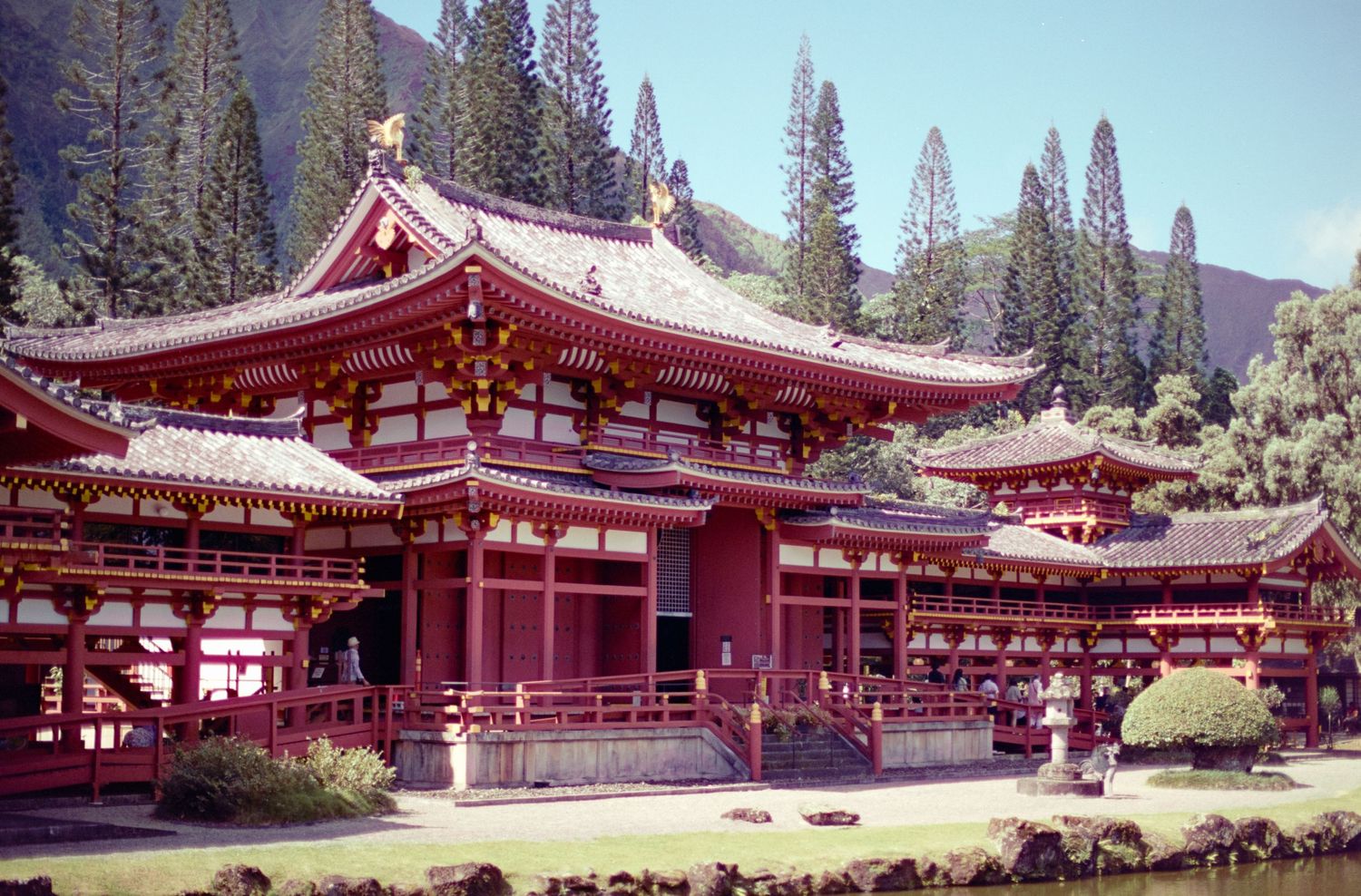 Traditional red Japanese temple with pagoda roof surrounded by tall cypress trees.