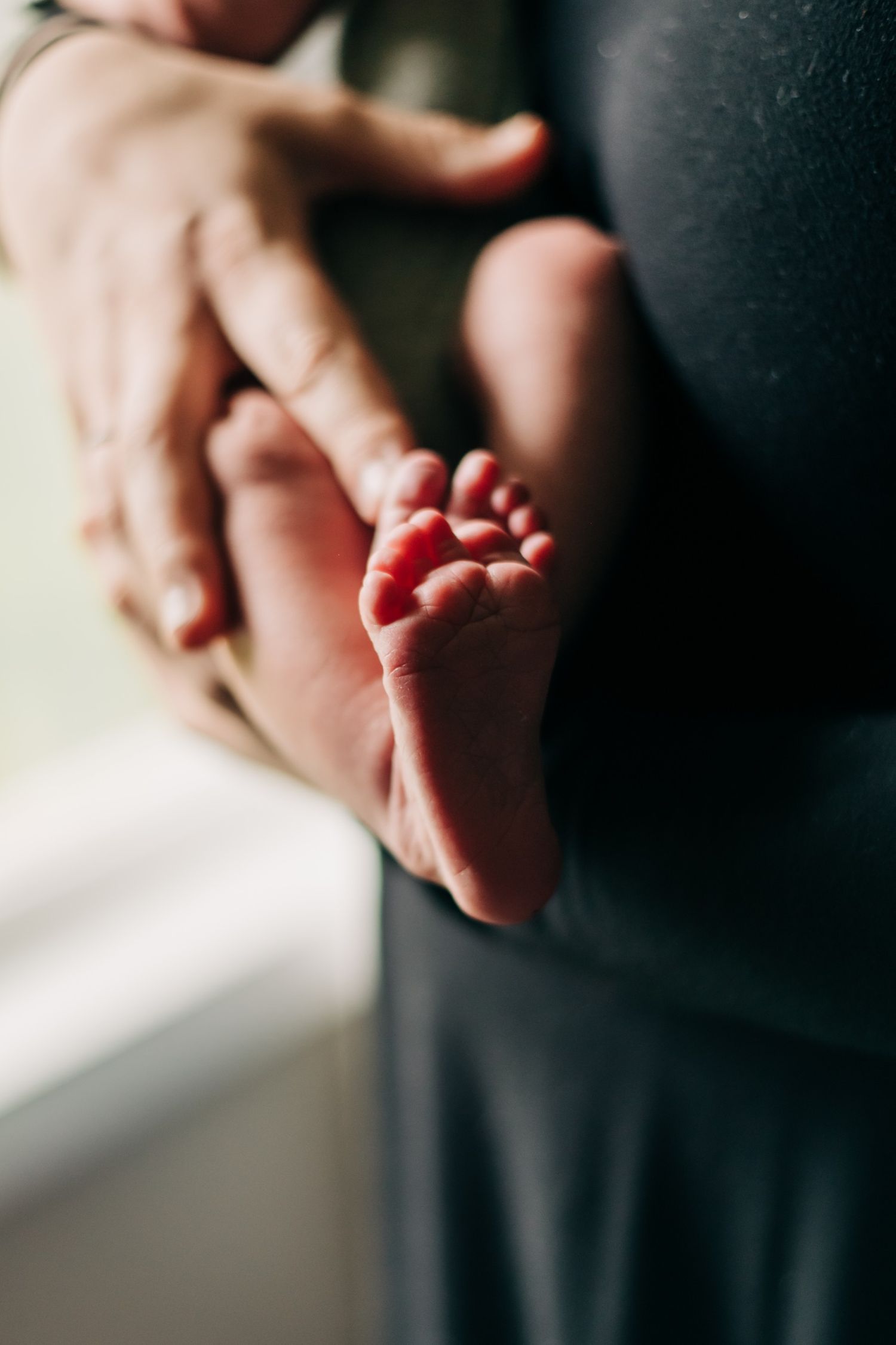 close up photo of newborn baby's feet