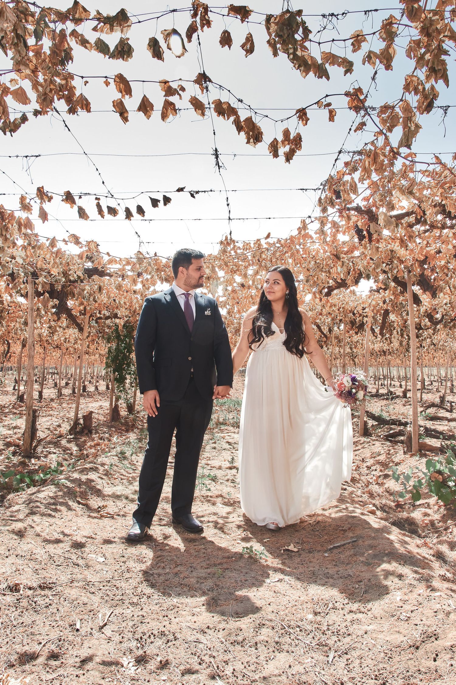 Newlyweds standing together in a vineyard with dried autumn vines overhead on a sunny day.