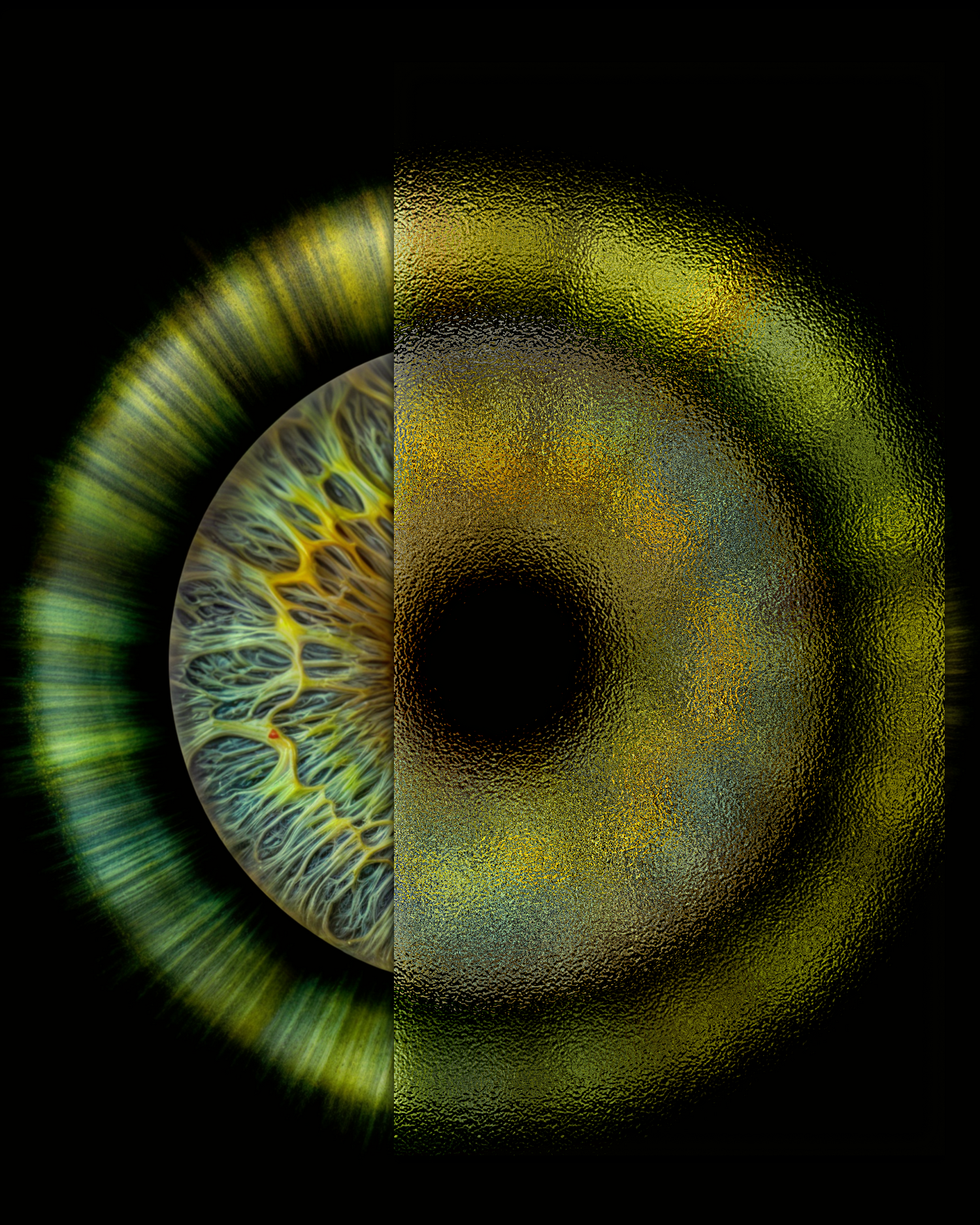 Iris Shooting
